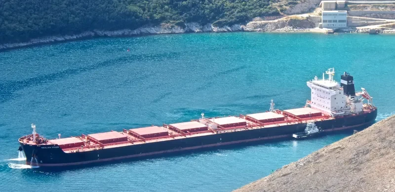 AEOLIAN VISION Bulk Carrier IMO 9483554 photo 5