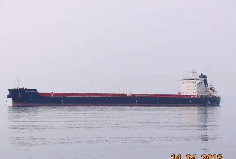 AEOLIAN VISION Bulk Carrier IMO 9483554 photo 8