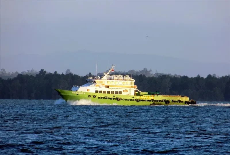 PAN MARINE 8 General Cargo IMO 9483592 photo 3