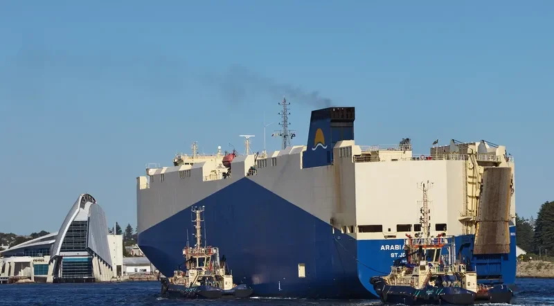 ARABIAN SEA General Cargo IMO 9483786 photo 243