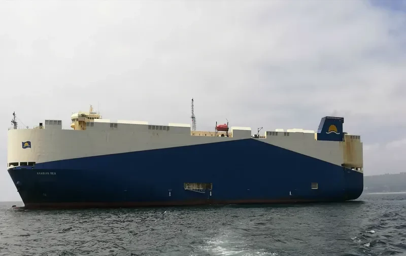 ARABIAN SEA General Cargo IMO 9483786 photo 684