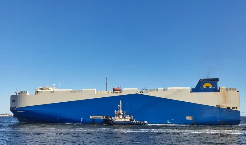 ARABIAN SEA General Cargo IMO 9483786 photo 1492