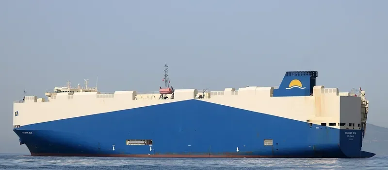 ARABIAN SEA General Cargo IMO 9483786 photo 2080