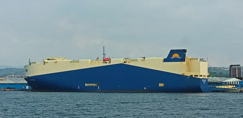 ARABIAN SEA General Cargo IMO 9483786 photo 2102