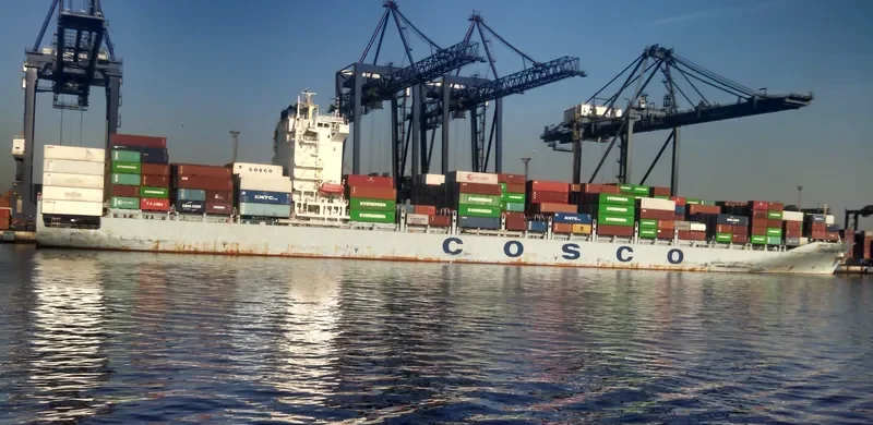 COSCO WELLINGTON Container Ship IMO 9484417 photo 2
