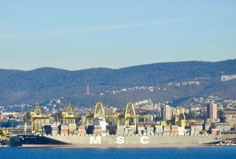 MSC VANDYA Container Ship IMO 9484467 photo 2