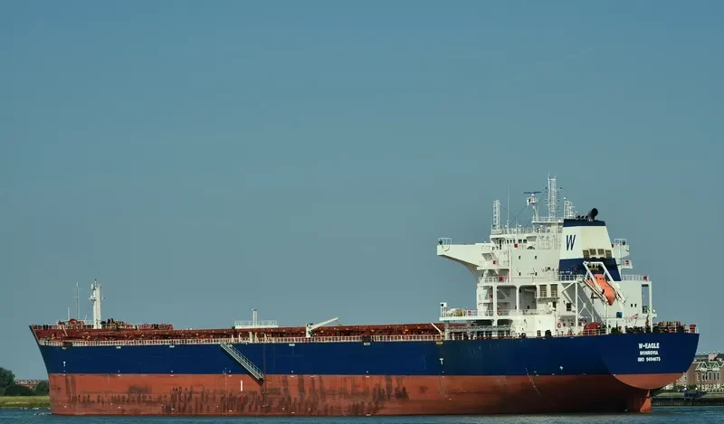 W EAGLE Bulk Carrier IMO 9484675 photo 7