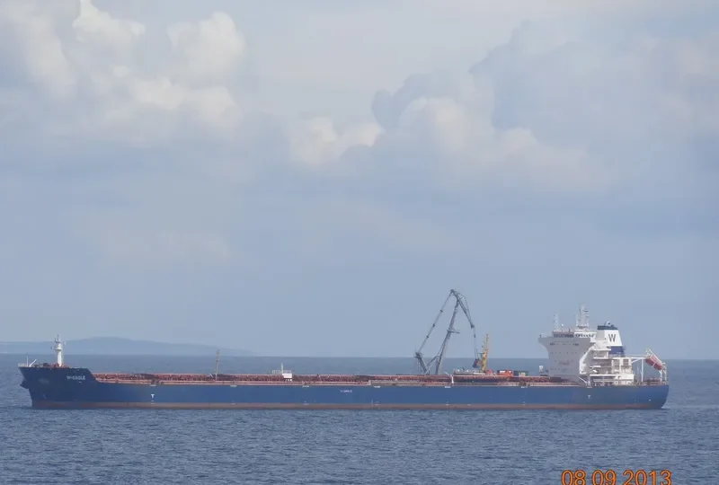 W EAGLE Bulk Carrier IMO 9484675 photo 10