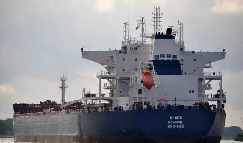 W ACE Bulk Carrier IMO 9484687 photo 5