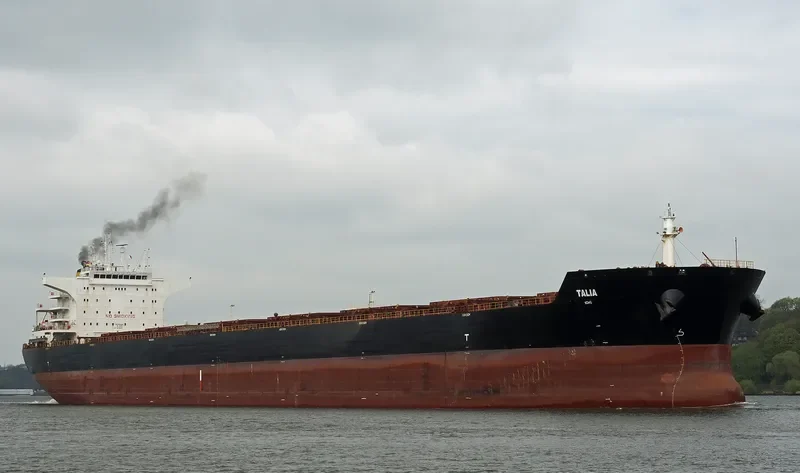 W OSLO Bulk Carrier IMO 9484699 photo 6