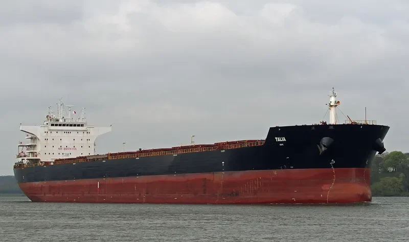 W OSLO Bulk Carrier IMO 9484699 photo 9