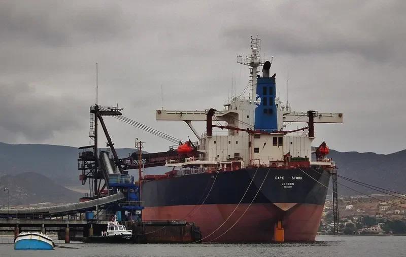 CAPE STORK Bulk Carrier IMO 9484807 photo 3