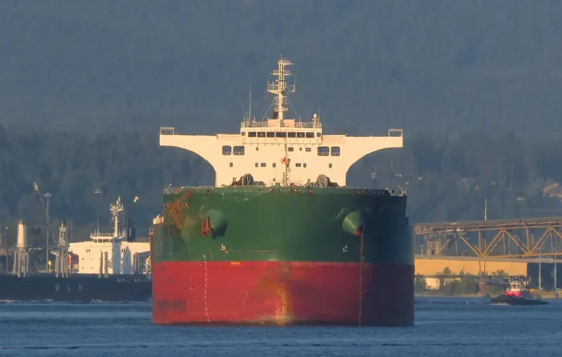 CAPE STORK Bulk Carrier IMO 9484807 photo 5