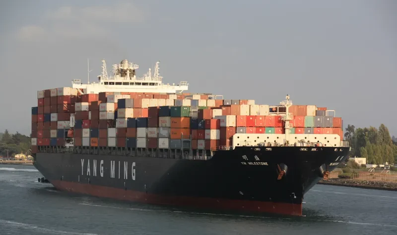YM MILESTONE Container Ship IMO 9484998