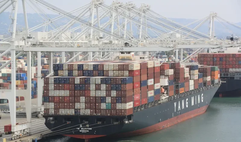 YM MILESTONE Container Ship IMO 9484998 photo 3