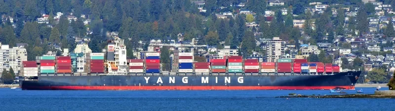 YM MILESTONE Container Ship IMO 9484998 photo 7