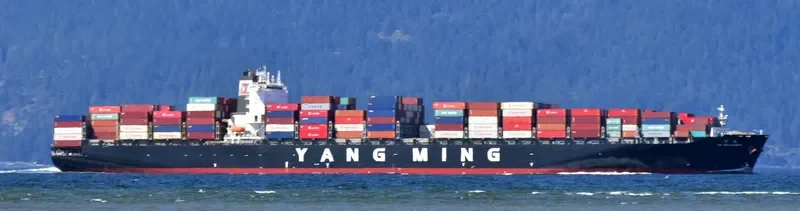 YM MASCULINITY Container Ship IMO 9485007 photo 4
