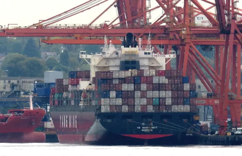 YM MASCULINITY Container Ship IMO 9485007 photo 6