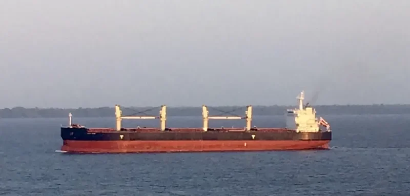 OCEAN CENTURY Bulk Carrier IMO 9485033 photo 2