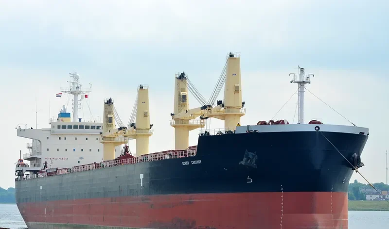 OCEAN CENTURY Bulk Carrier IMO 9485033 photo 5