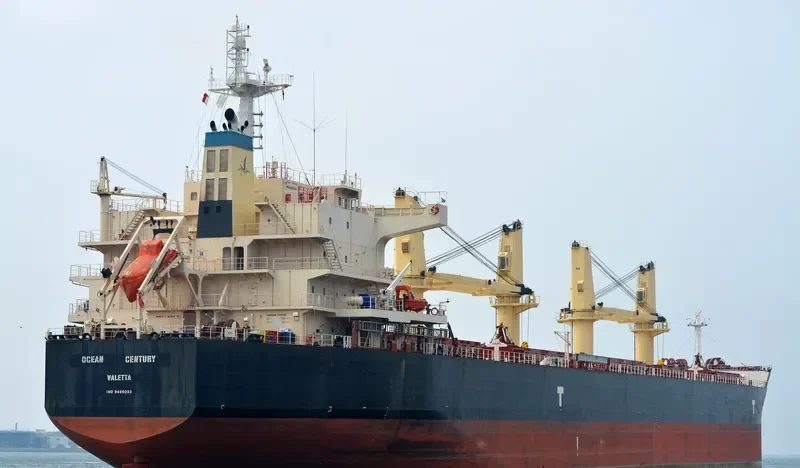 OCEAN CENTURY Bulk Carrier IMO 9485033 photo 7