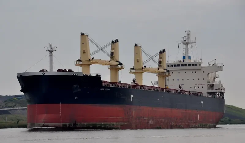OCEAN CENTURY Bulk Carrier IMO 9485033 photo 9