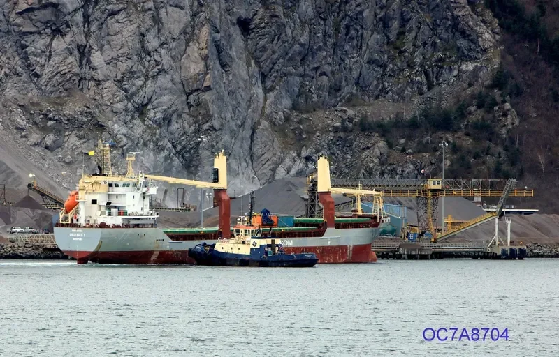 OSLO BULK 3 General Cargo IMO 9485784 photo 3