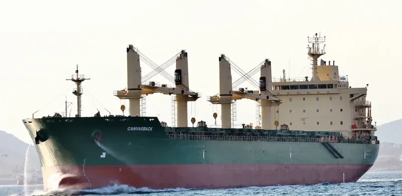 JUN DE Bulk Carrier IMO 9485904 photo 2