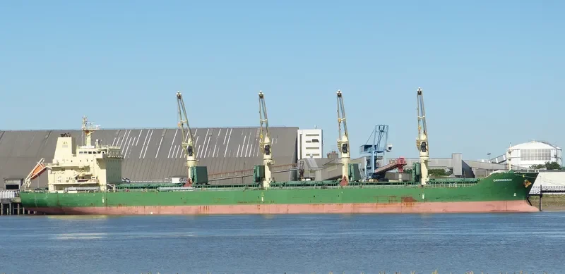 JUN DE Bulk Carrier IMO 9485904 photo 6