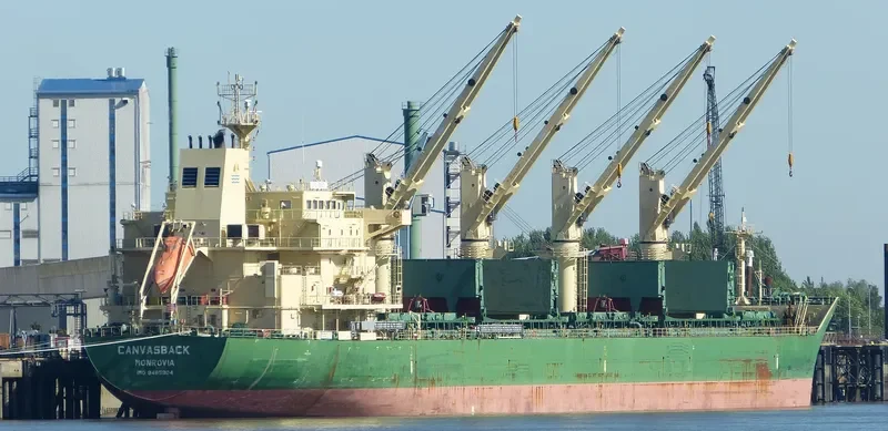 JUN DE Bulk Carrier IMO 9485904 photo 7