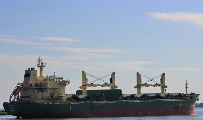 JUN DE Bulk Carrier IMO 9485904 photo 8
