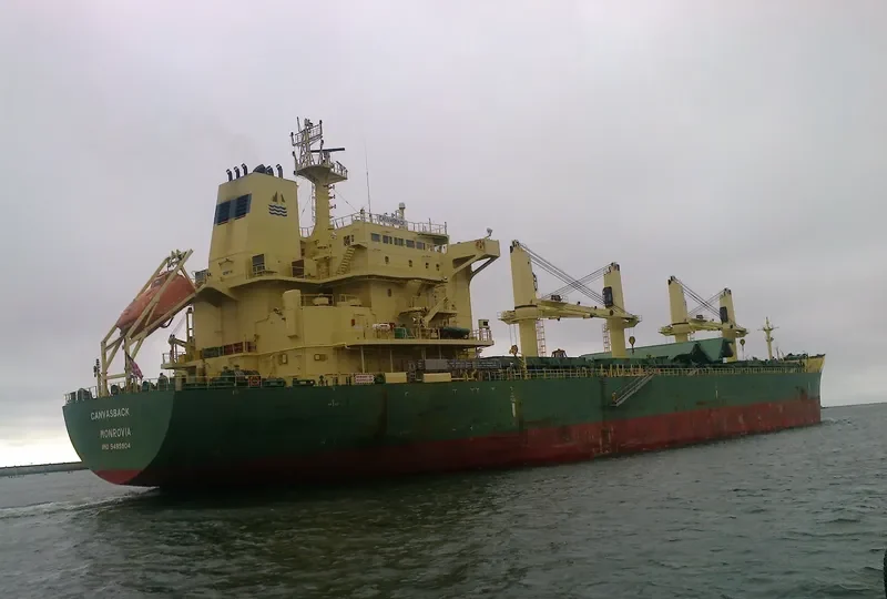 JUN DE Bulk Carrier IMO 9485904 photo 10