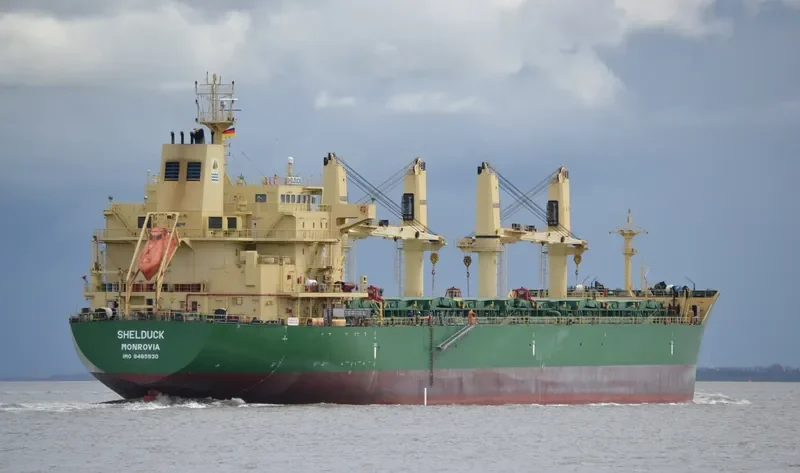 SHELDUCK Bulk Carrier IMO 9485930