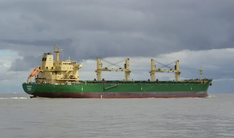 SHELDUCK Bulk Carrier IMO 9485930 photo 2