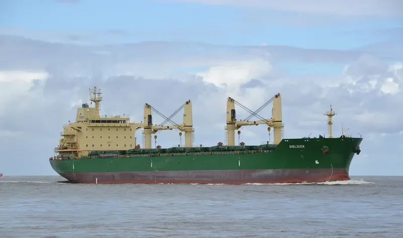 SHELDUCK Bulk Carrier IMO 9485930 photo 3