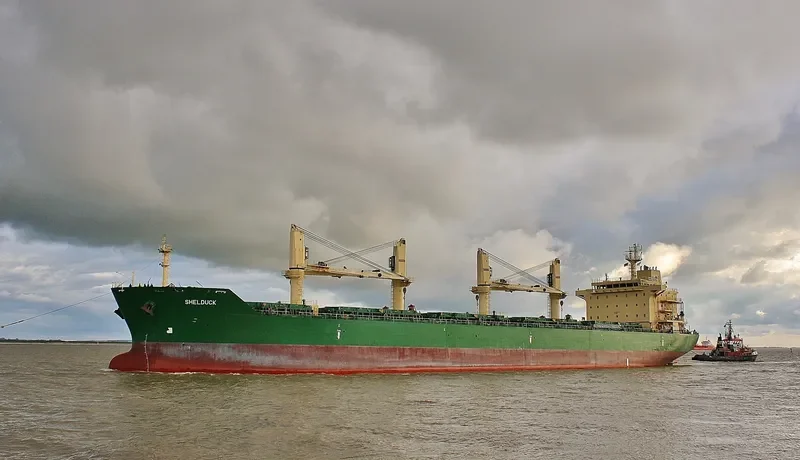 SHELDUCK Bulk Carrier IMO 9485930 photo 7