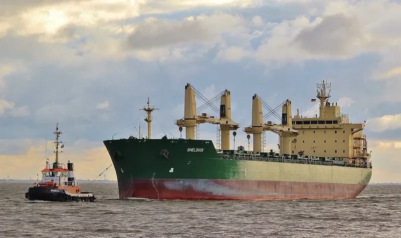 SHELDUCK Bulk Carrier IMO 9485930 photo 8