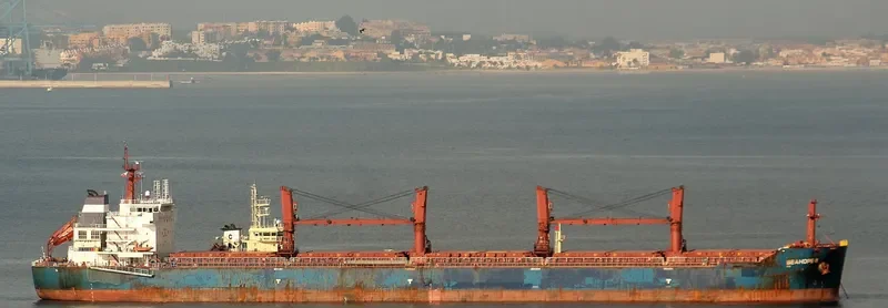 ZOGRAFIA Bulk Carrier IMO 9486013 photo 2