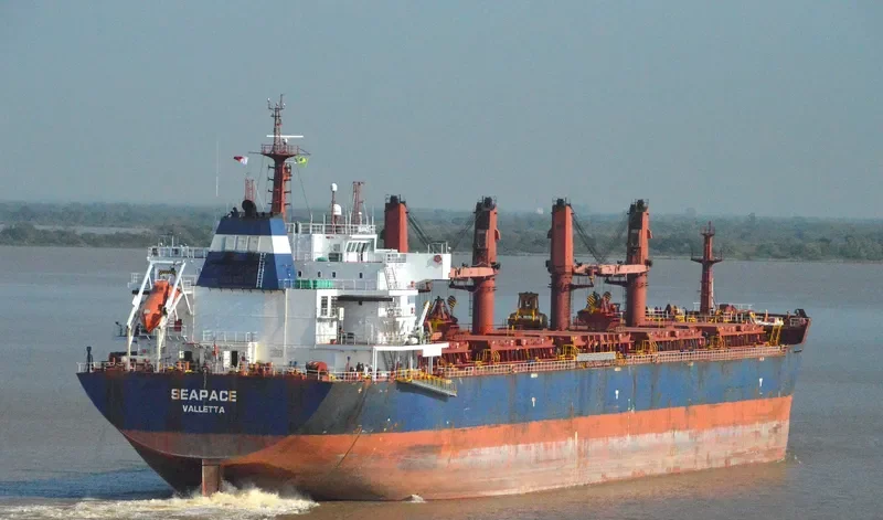 MELPOMENI Bulk Carrier IMO 9486025 photo 4
