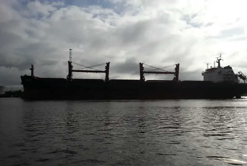 MELPOMENI Bulk Carrier IMO 9486025 photo 27