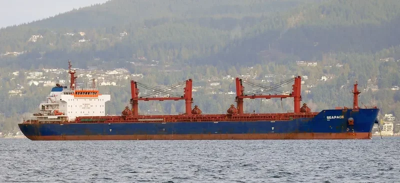 MELPOMENI Bulk Carrier IMO 9486025 photo 33
