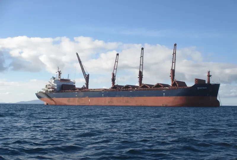 MELPOMENI Bulk Carrier IMO 9486025 photo 35