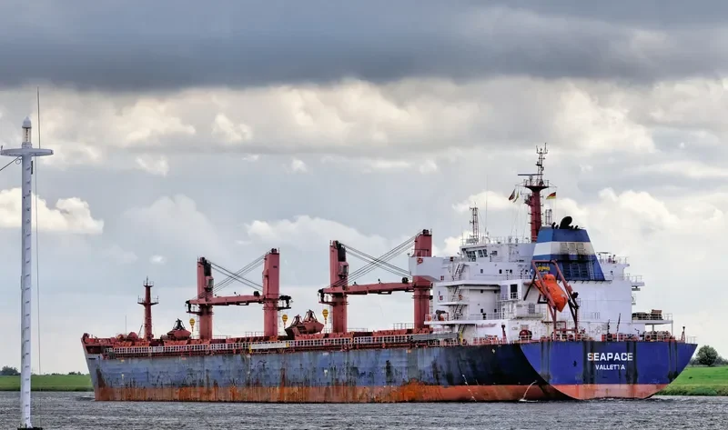 MELPOMENI Bulk Carrier IMO 9486025 photo 40