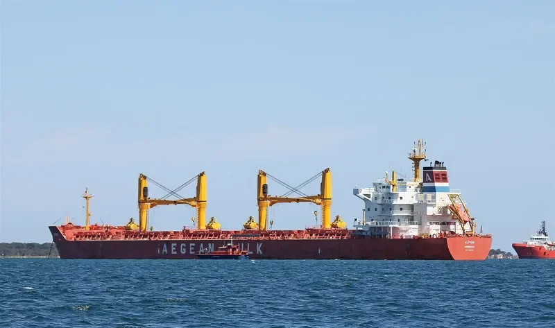 ALFIOS Bulk Carrier IMO 9486130 photo 3