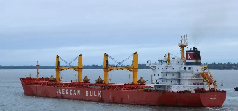 ARKAS Bulk Carrier IMO 9486142
