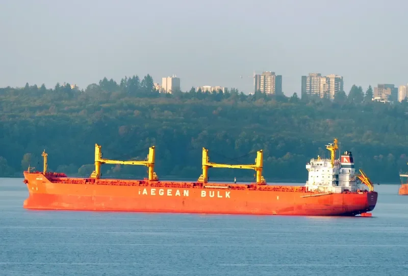 ARKAS Bulk Carrier IMO 9486142 photo 6