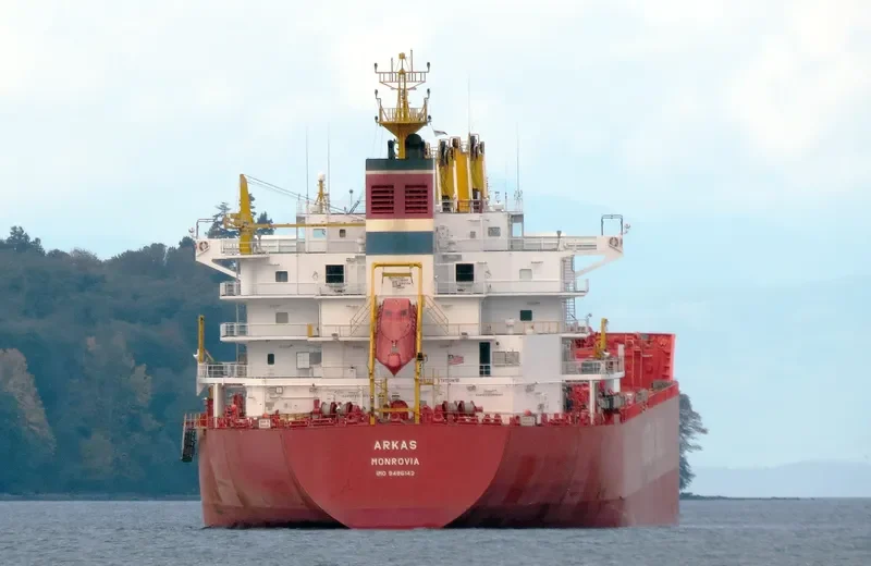 ARKAS Bulk Carrier IMO 9486142 photo 7