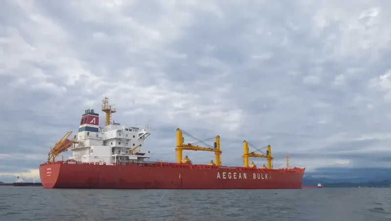 ARKAS Bulk Carrier IMO 9486142 photo 8