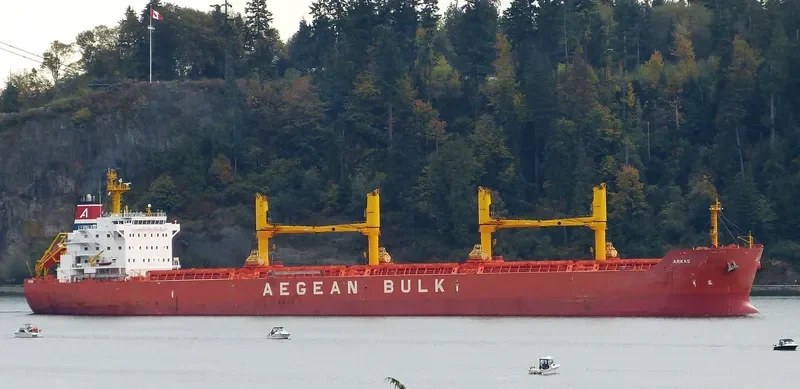 ARKAS Bulk Carrier IMO 9486142 photo 9