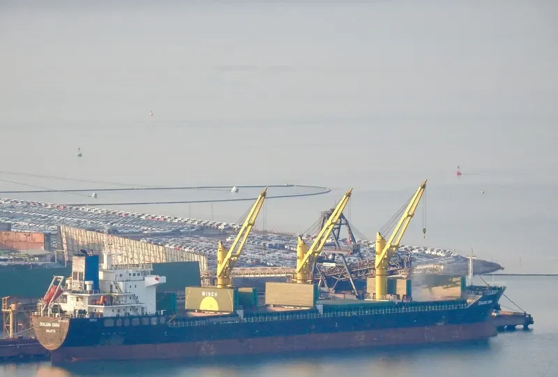 ZEALAND ZARIA Bulk Carrier IMO 9486269